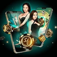 tk10 app